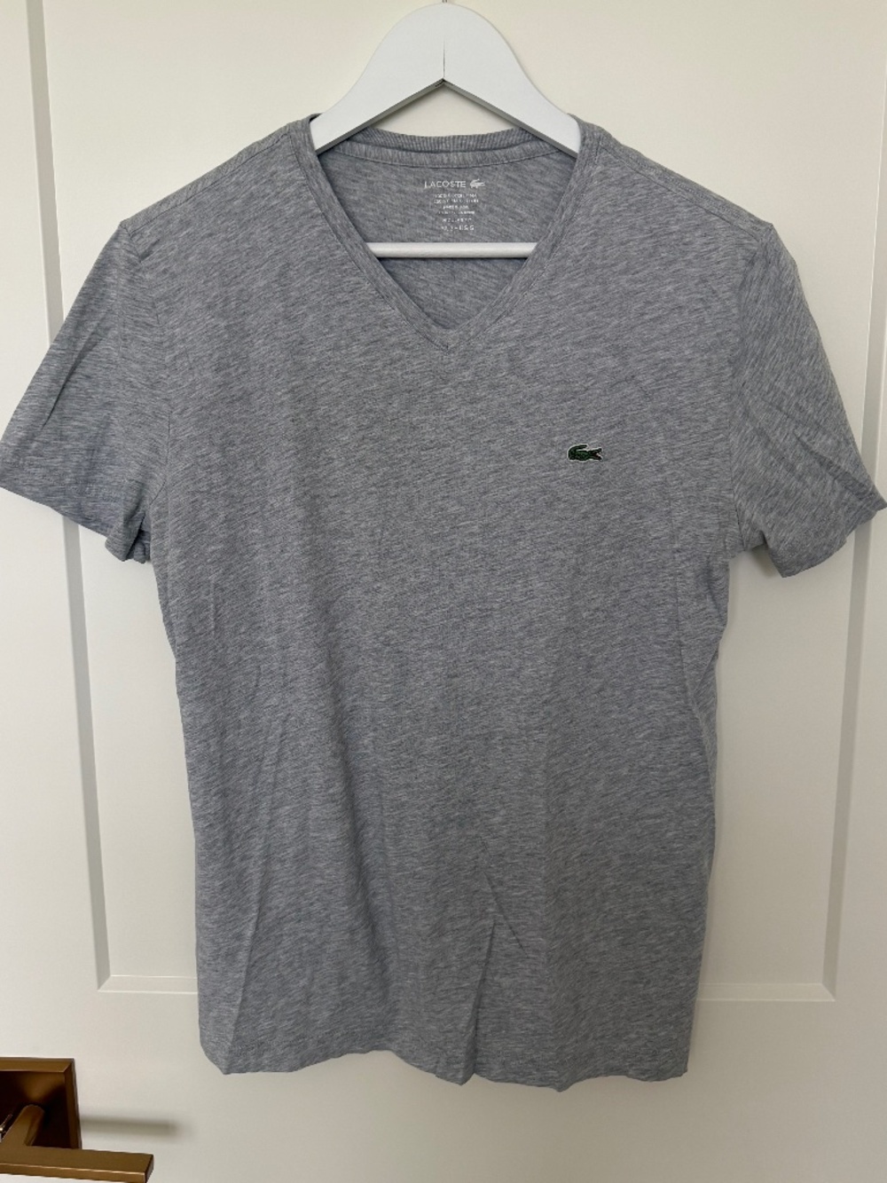 Lacoste V-Neck T-Shirt (Men's 3 / Small)